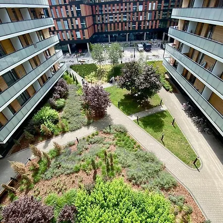 Wroclove Place Gwiazdzista St * Vratislav